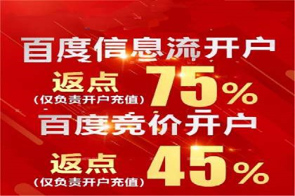 成功SEM竞价托管案例分析报告